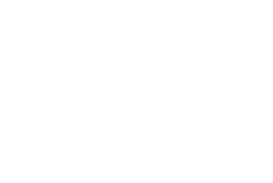 W-F Logo White small